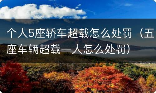 个人5座轿车超载怎么处罚（五座车辆超载一人怎么处罚）