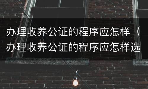 办理收养公证的程序应怎样（办理收养公证的程序应怎样选择）
