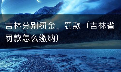 吉林分别罚金、罚款（吉林省罚款怎么缴纳）