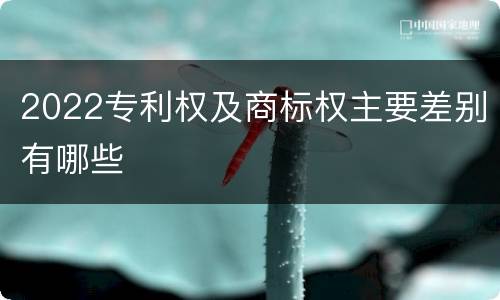 2022专利权及商标权主要差别有哪些