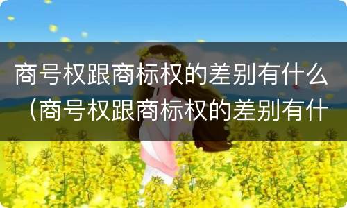 商号权跟商标权的差别有什么（商号权跟商标权的差别有什么不一样）