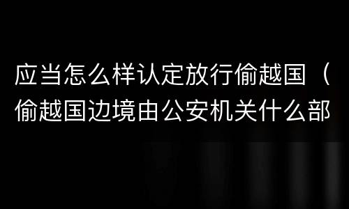 应当怎么样认定放行偷越国（偷越国边境由公安机关什么部门进行处罚）