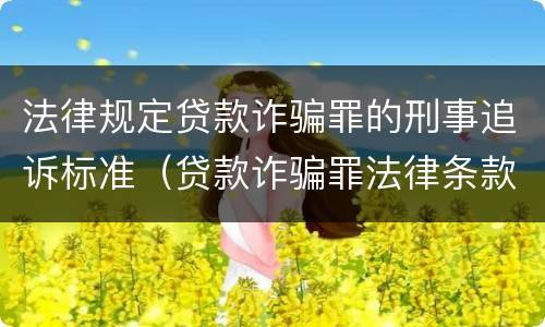 法律规定贷款诈骗罪的刑事追诉标准（贷款诈骗罪法律条款）