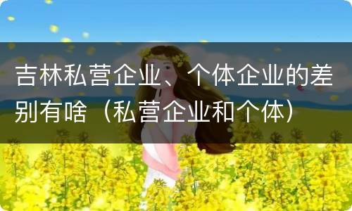 吉林私营企业、个体企业的差别有啥（私营企业和个体）