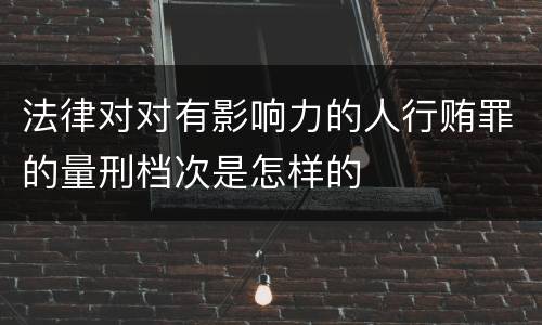 法律对对有影响力的人行贿罪的量刑档次是怎样的