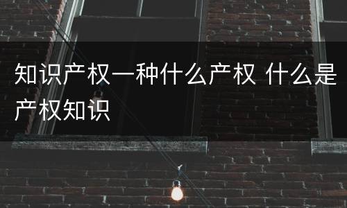 知识产权一种什么产权 什么是产权知识
