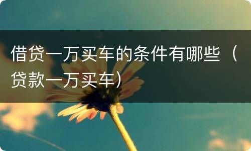 借贷一万买车的条件有哪些（贷款一万买车）