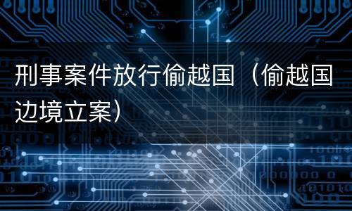 刑事案件放行偷越国（偷越国边境立案）