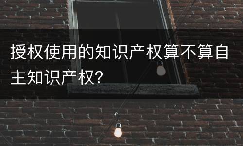 授权使用的知识产权算不算自主知识产权？
