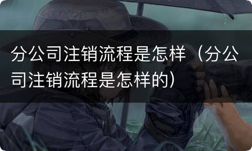 分公司注销流程是怎样（分公司注销流程是怎样的）