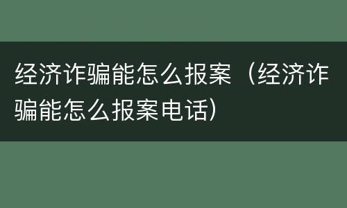 经济诈骗能怎么报案（经济诈骗能怎么报案电话）