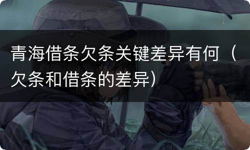 青海借条欠条关键差异有何（欠条和借条的差异）