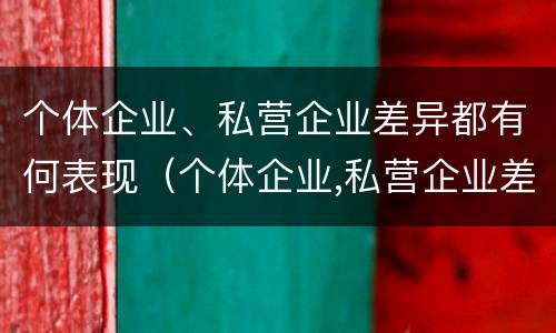 个体企业、私营企业差异都有何表现（个体企业,私营企业差异都有何表现和特点）