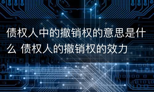 债权人中的撤销权的意思是什么 债权人的撤销权的效力