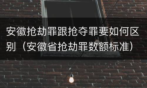 安徽抢劫罪跟抢夺罪要如何区别（安徽省抢劫罪数额标准）