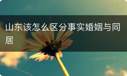 山东该怎么区分事实婚姻与同居