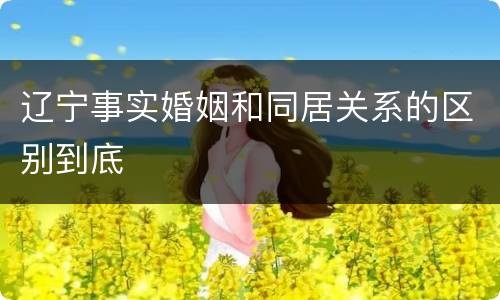 辽宁事实婚姻和同居关系的区别到底