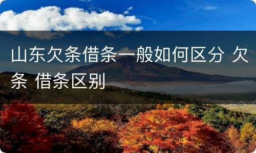 山东欠条借条一般如何区分 欠条 借条区别