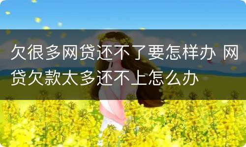 欠很多网贷还不了要怎样办 网贷欠款太多还不上怎么办
