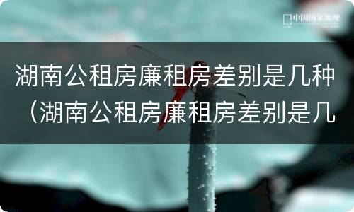 湖南公租房廉租房差别是几种（湖南公租房廉租房差别是几种吗）