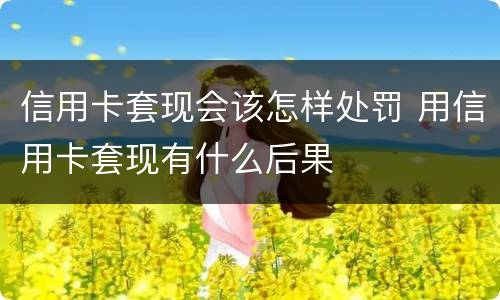 信用卡套现会该怎样处罚 用信用卡套现有什么后果
