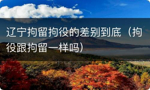 辽宁拘留拘役的差别到底（拘役跟拘留一样吗）