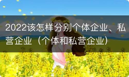 2022该怎样分别个体企业、私营企业（个体和私营企业）