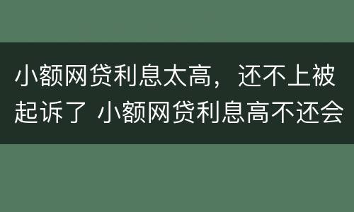 小额网贷利息太高，还不上被起诉了 小额网贷利息高不还会有什么后果