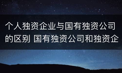 个人独资企业与国有独资公司的区别 国有独资公司和独资企业的区别