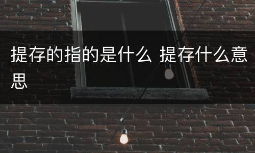 提存的指的是什么 提存什么意思