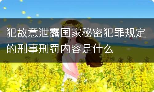 犯故意泄露国家秘密犯罪规定的刑事刑罚内容是什么
