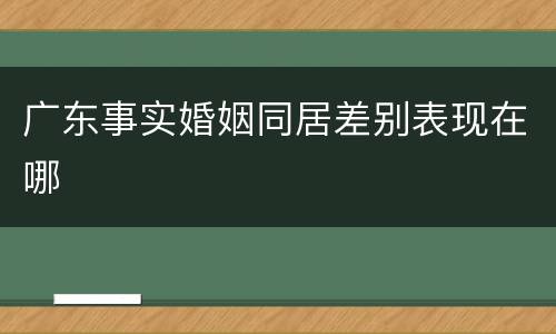 广东事实婚姻同居差别表现在哪