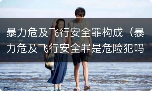 暴力危及飞行安全罪构成（暴力危及飞行安全罪是危险犯吗）