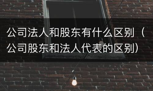 公司法人和股东有什么区别（公司股东和法人代表的区别）