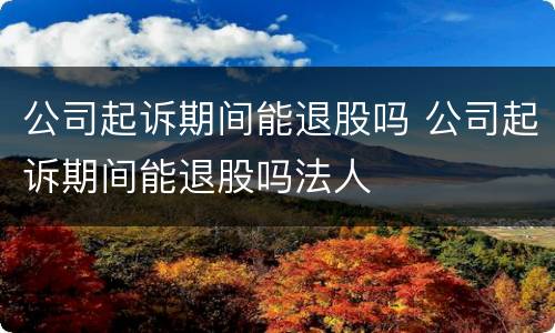 公司起诉期间能退股吗 公司起诉期间能退股吗法人