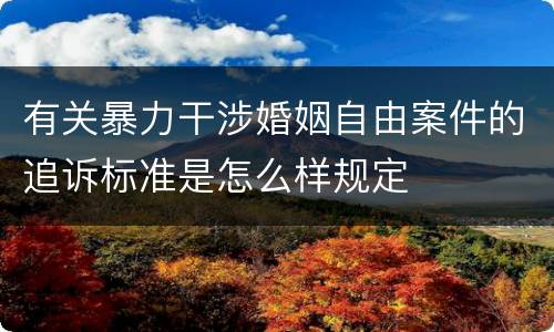 有关暴力干涉婚姻自由案件的追诉标准是怎么样规定