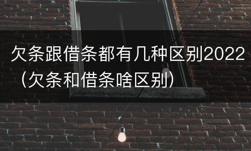 欠条跟借条都有几种区别2022（欠条和借条啥区别）