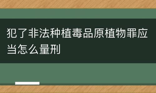 犯了非法种植毒品原植物罪应当怎么量刑