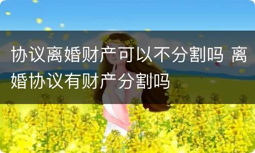 协议离婚财产可以不分割吗 离婚协议有财产分割吗