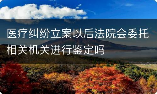医疗纠纷立案以后法院会委托相关机关进行鉴定吗