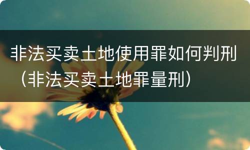 非法买卖土地使用罪如何判刑（非法买卖土地罪量刑）
