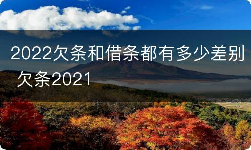 2022欠条和借条都有多少差别 欠条2021