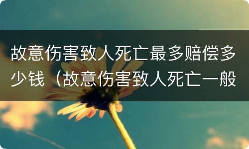 故意伤害致人死亡最多赔偿多少钱（故意伤害致人死亡一般赔多少钱）