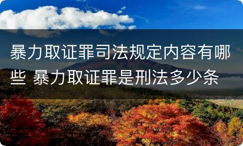 暴力取证罪司法规定内容有哪些 暴力取证罪是刑法多少条
