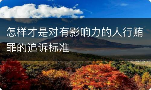 怎样才是对有影响力的人行贿罪的追诉标准