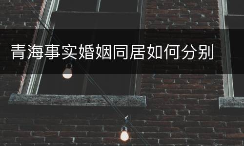 青海事实婚姻同居如何分别