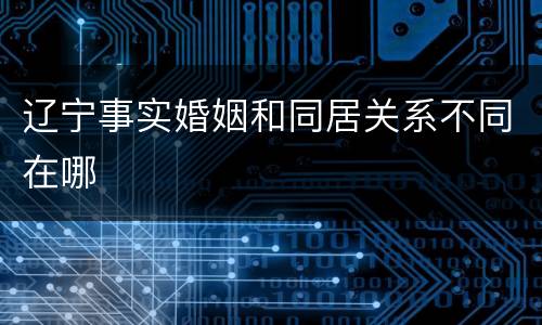 辽宁事实婚姻和同居关系不同在哪