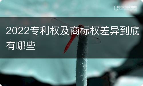 2022专利权及商标权差异到底有哪些