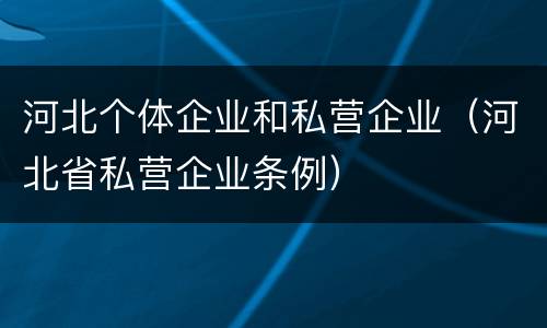 河北个体企业和私营企业（河北省私营企业条例）