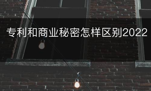 专利和商业秘密怎样区别2022